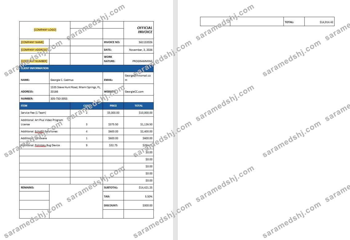 IT Support Invoice Template